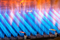 Ingrow gas fired boilers